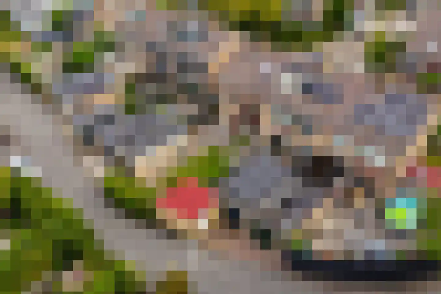 Kastanjelaan 3 A Zuid-Scharwoude thumbnail 32