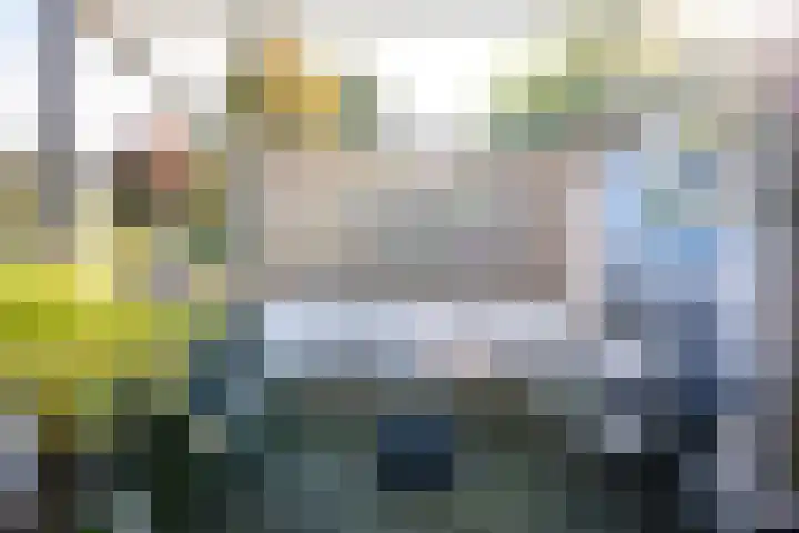 Kastanjelaan 3 Bennebroek thumbnail 20