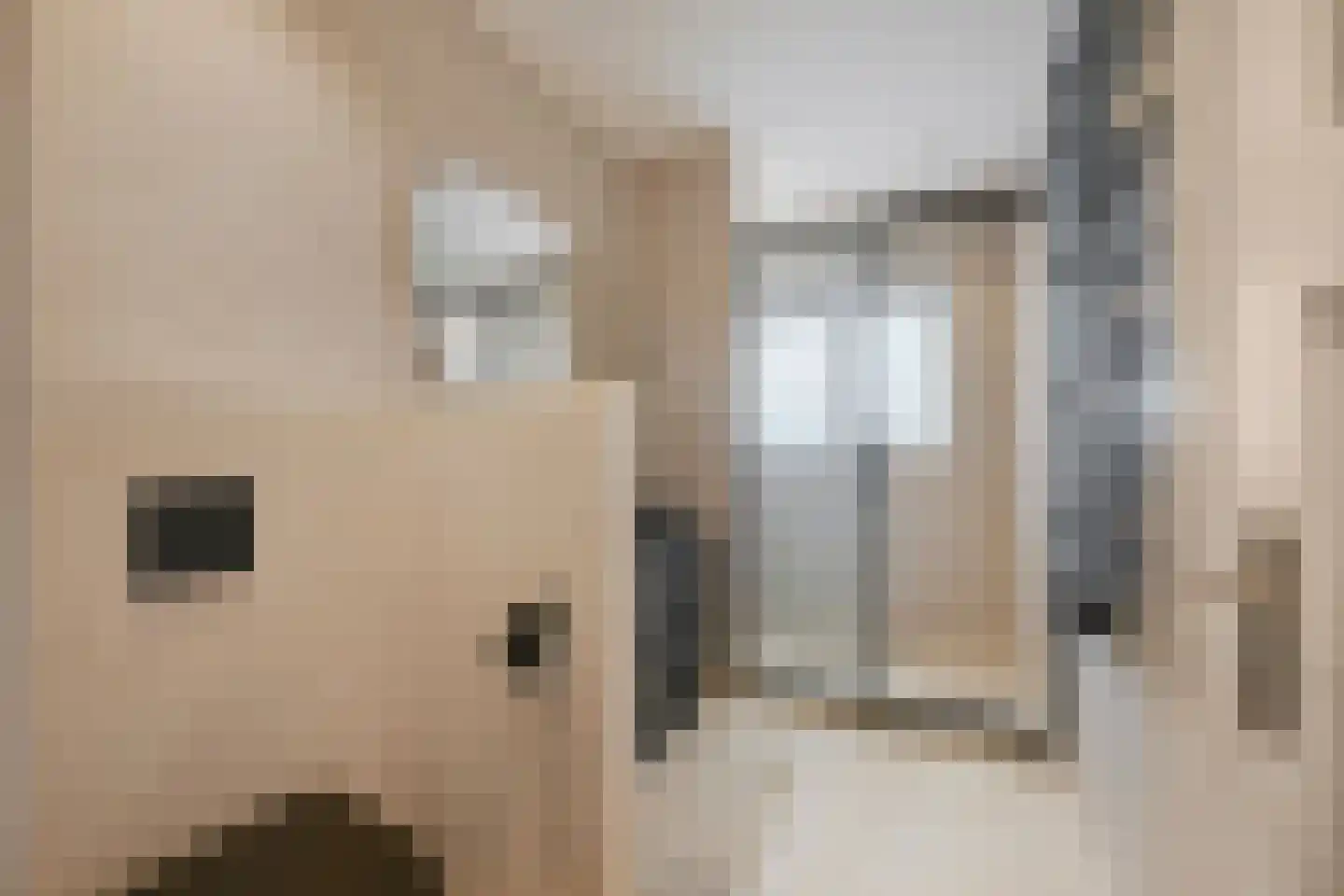 Kastanjelaan 3 Bennebroek thumbnail 26