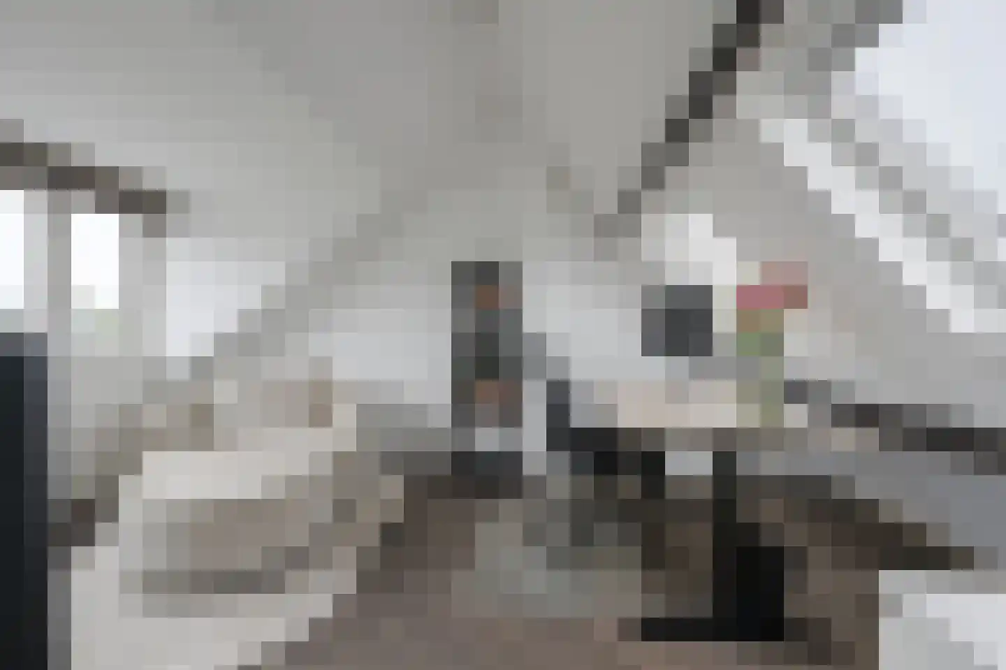 Kastanjelaan 3 Bennebroek thumbnail 29
