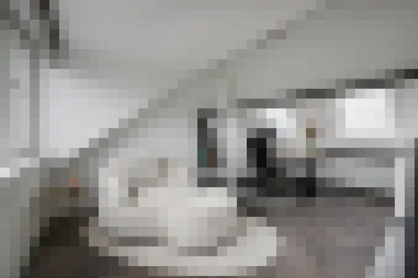 Kastanjelaan 3 Bennebroek thumbnail 30