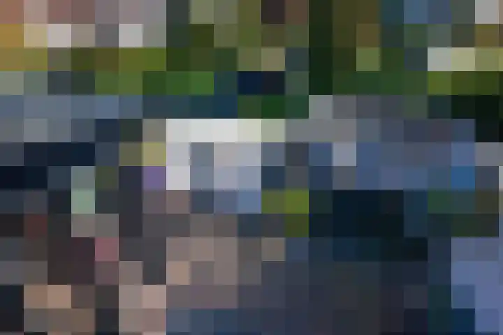 Kastanjelaan 3 Bennebroek thumbnail 31