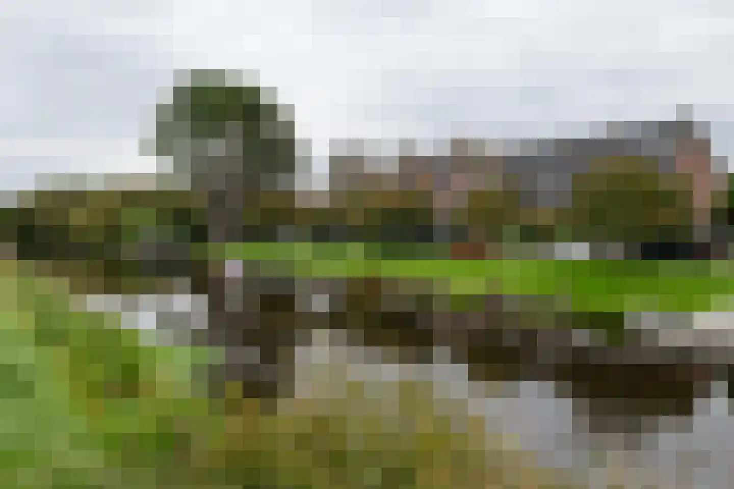 Kastanjelaan 3 Bennebroek thumbnail 35