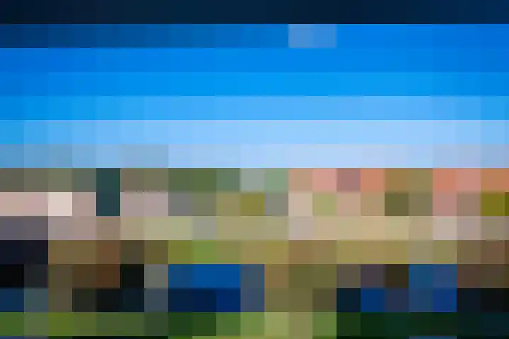 Kastanjelaan 3 Bennebroek thumbnail 44