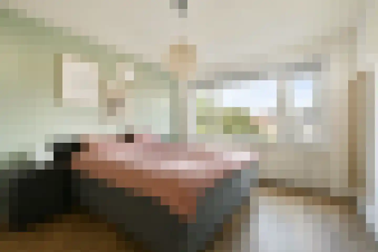 Kastanjelaan 3 Beverwijk thumbnail 17