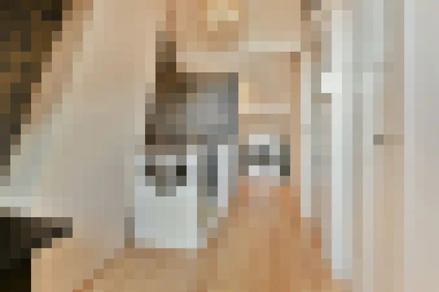 Kastanjelaan 3 Beverwijk thumbnail 29