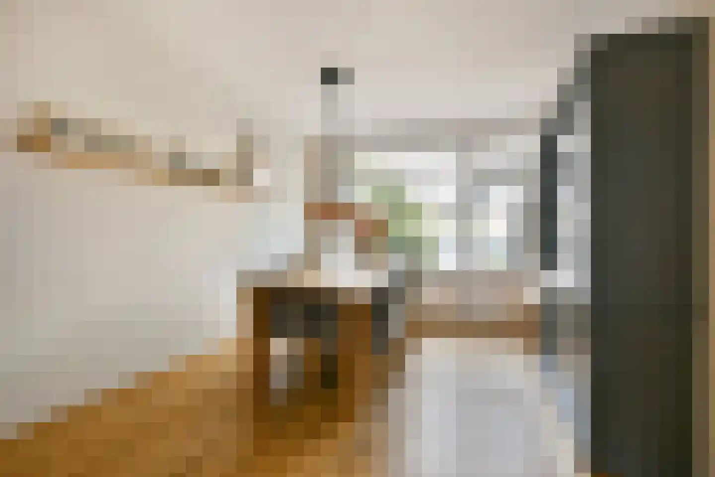 Kastanjelaan 3 Beverwijk thumbnail 9