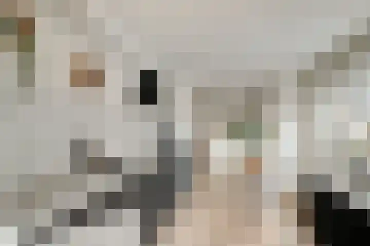 Kastanjelaan 3 Heerde thumbnail 11