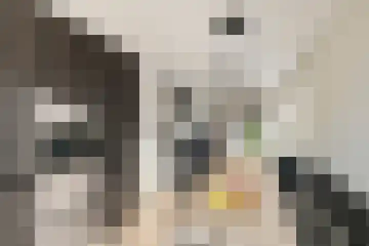 Kastanjelaan 3 Heerde thumbnail 12