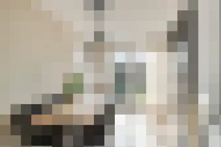 Kastanjelaan 3 Heerde thumbnail 13