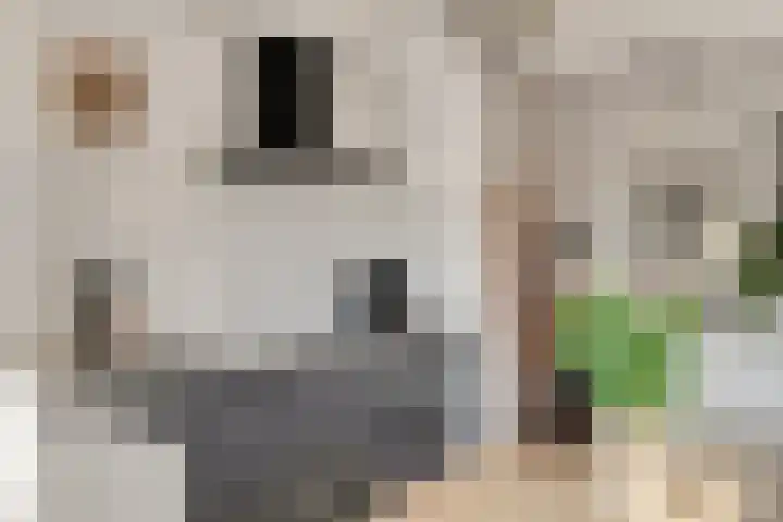 Kastanjelaan 3 Heerde thumbnail 14