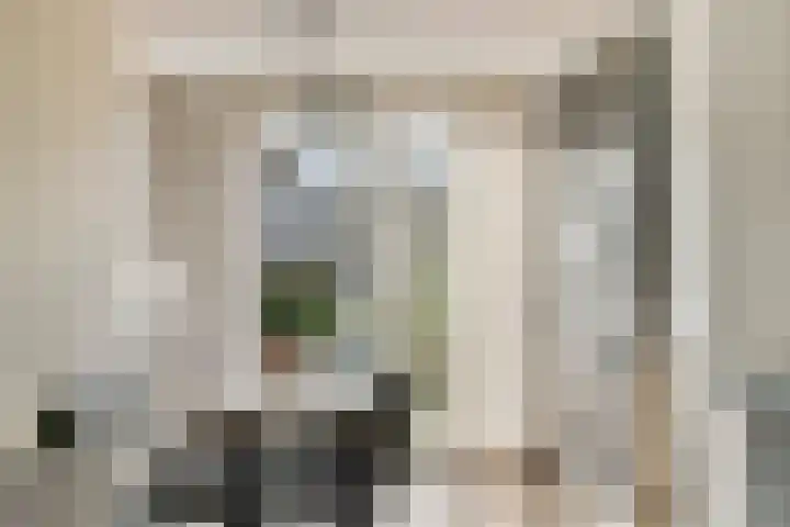 Kastanjelaan 3 Heerde thumbnail 15