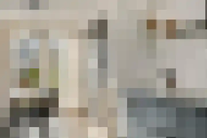 Kastanjelaan 3 Heerde foto 2