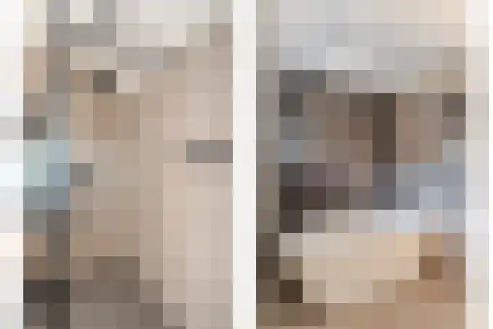 Kastanjelaan 3 Heerde thumbnail 21