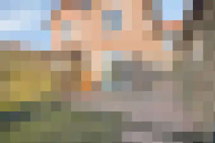 Kastanjelaan 3 Heerde thumbnail 28