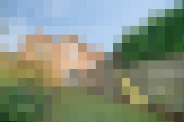Kastanjelaan 3 Heerde foto 3