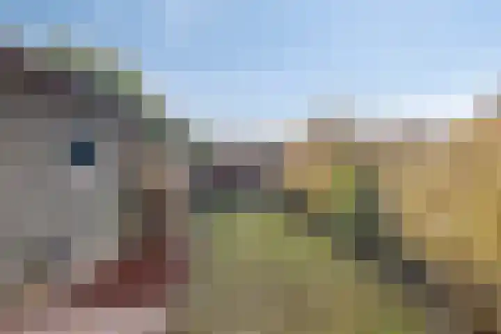 Kastanjelaan 3 Heerde thumbnail 30