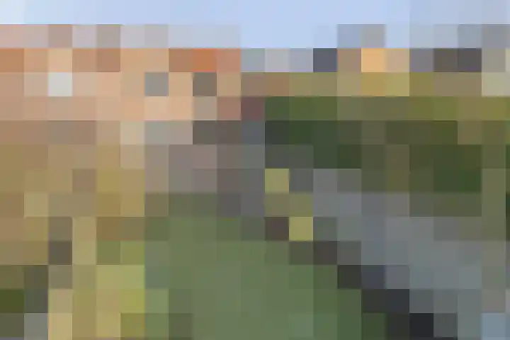 Kastanjelaan 3 Heerde thumbnail 32