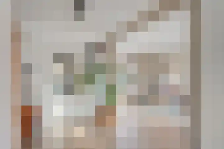 Kastanjelaan 3 Heerde thumbnail 4