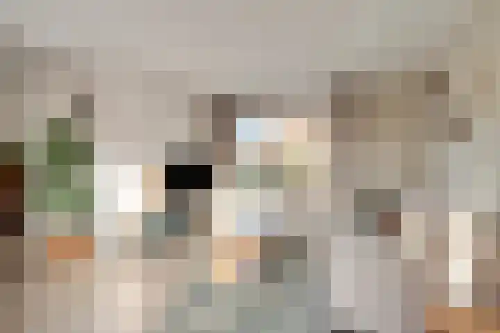 Kastanjelaan 3 Heerde thumbnail 7