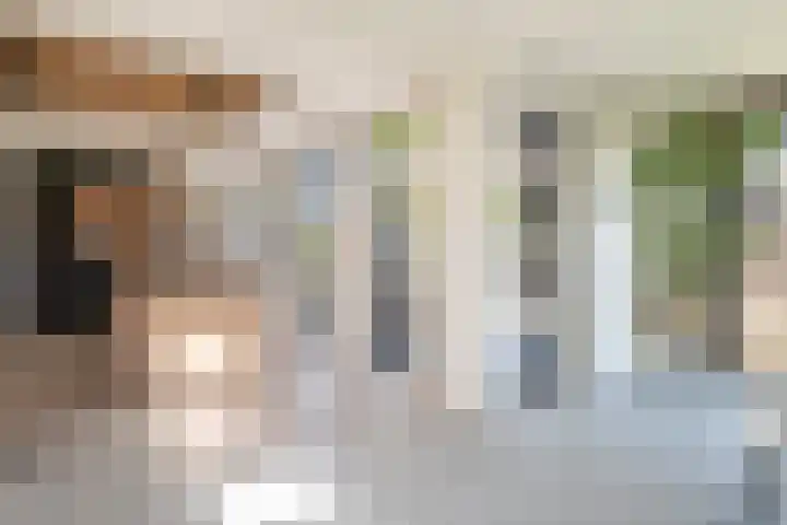 Kastanjelaan 3 Helvoirt thumbnail 11