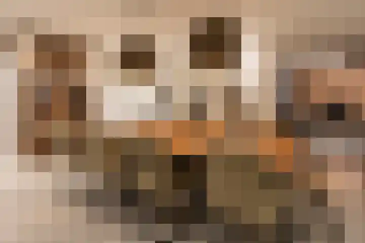Kastanjelaan 3 Helvoirt thumbnail 13