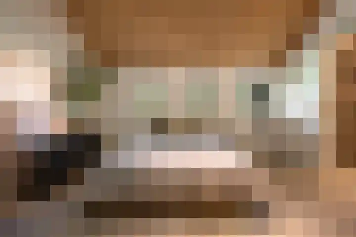 Kastanjelaan 3 Helvoirt thumbnail 14