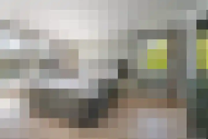 Kastanjelaan 3 Helvoirt thumbnail 20
