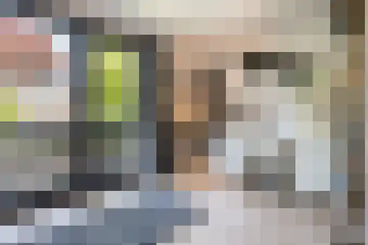 Kastanjelaan 3 Helvoirt thumbnail 22