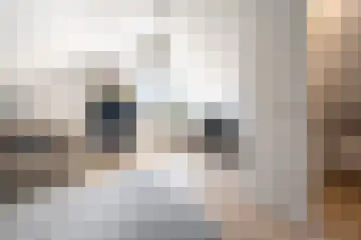 Kastanjelaan 3 Helvoirt thumbnail 27