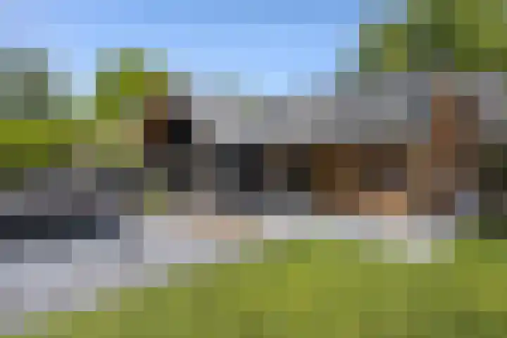 Kastanjelaan 3 Helvoirt thumbnail 31