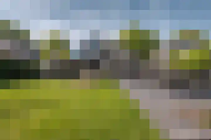 Kastanjelaan 3 Helvoirt thumbnail 32