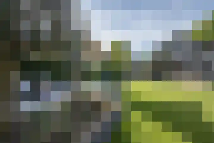 Kastanjelaan 3 Helvoirt thumbnail 33