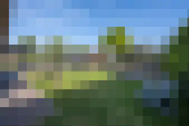 Kastanjelaan 3 Helvoirt thumbnail 35