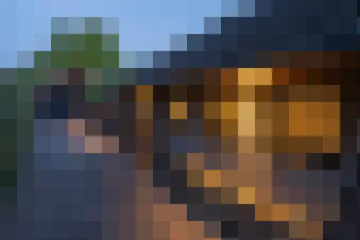 Kastanjelaan 3 Helvoirt thumbnail 37