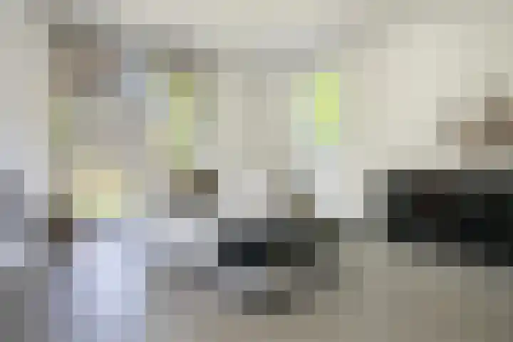 Kastanjelaan 3 Helvoirt thumbnail 4