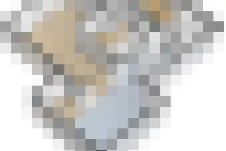 Kastanjelaan 3 Helvoirt thumbnail 42