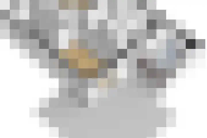 Kastanjelaan 3 Helvoirt thumbnail 44