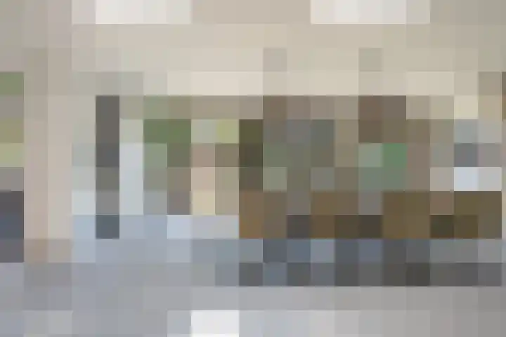 Kastanjelaan 3 Helvoirt thumbnail 6