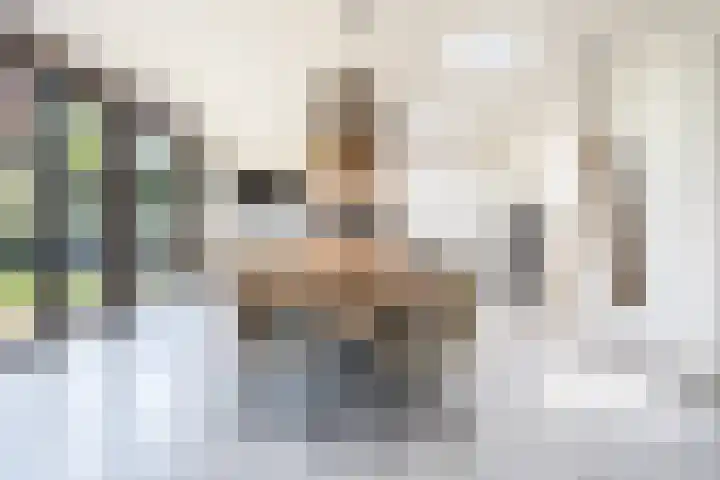 Kastanjelaan 3 Helvoirt thumbnail 7