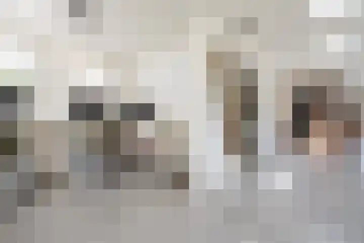 Kastanjelaan 3 Helvoirt thumbnail 9