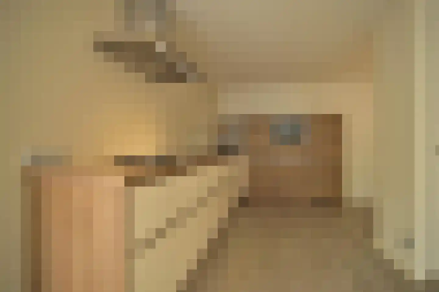 Kastanjelaan 3 Hoensbroek thumbnail 15