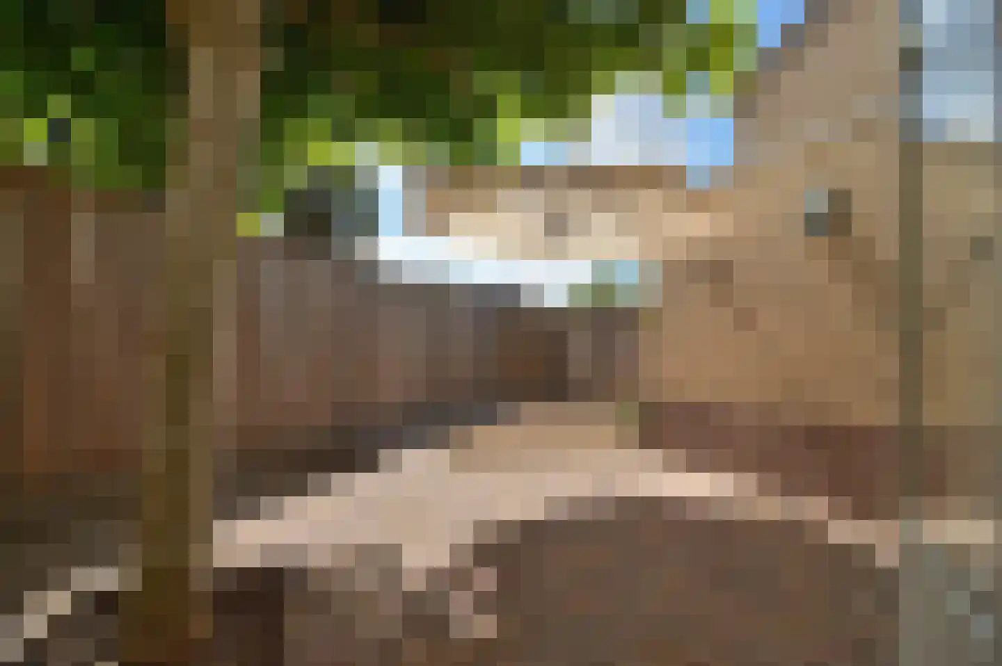 Kastanjelaan 3 Hoensbroek thumbnail 24