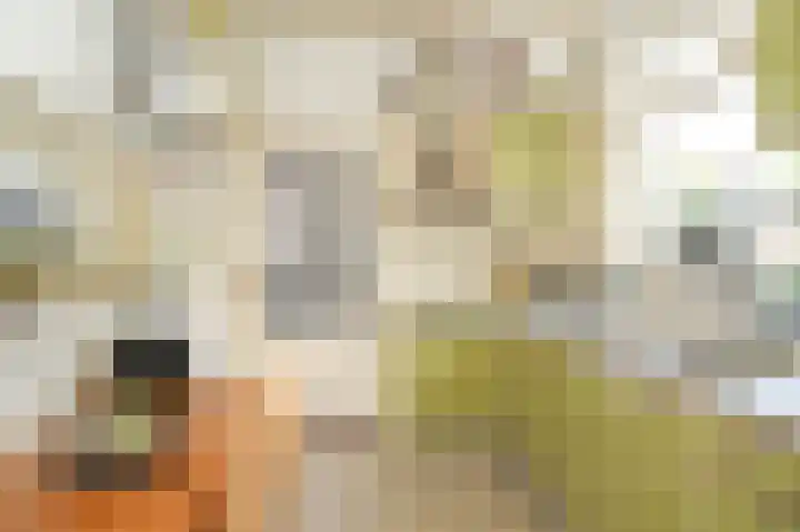 Kastanjelaan 3 Opheusden thumbnail 12