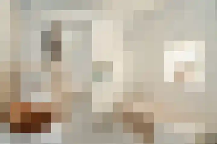 Kastanjelaan 3 Opheusden thumbnail 14