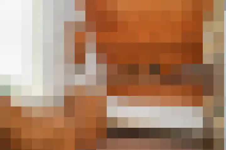 Kastanjelaan 3 Opheusden thumbnail 20