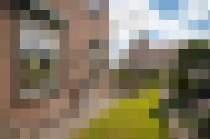 Kastanjelaan 3 Opheusden thumbnail 21