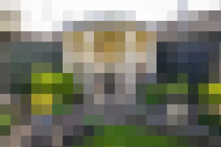 Kastanjelaan 3 Opheusden thumbnail 24