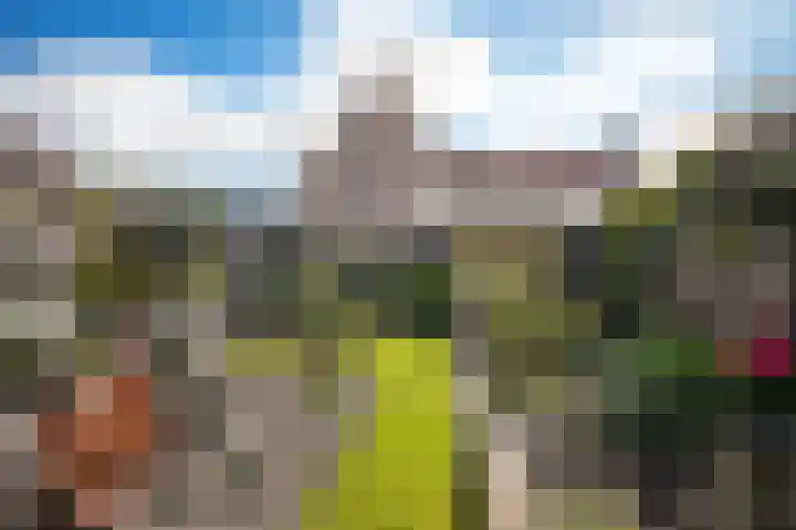 Kastanjelaan 3 Opheusden thumbnail 26