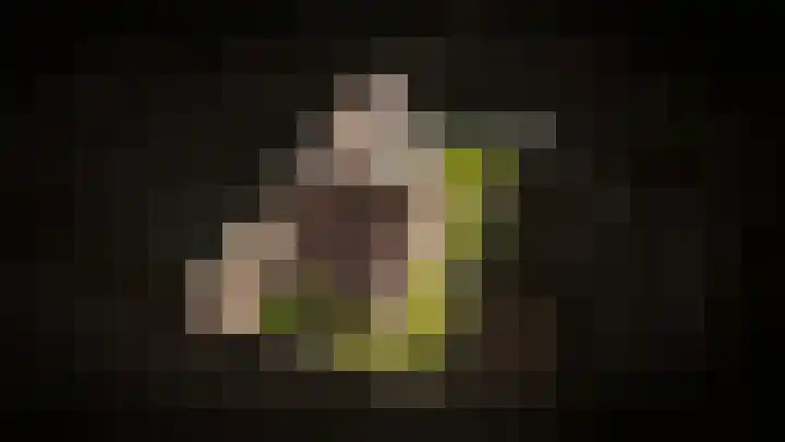 Kastanjelaan 3 Opheusden thumbnail 34